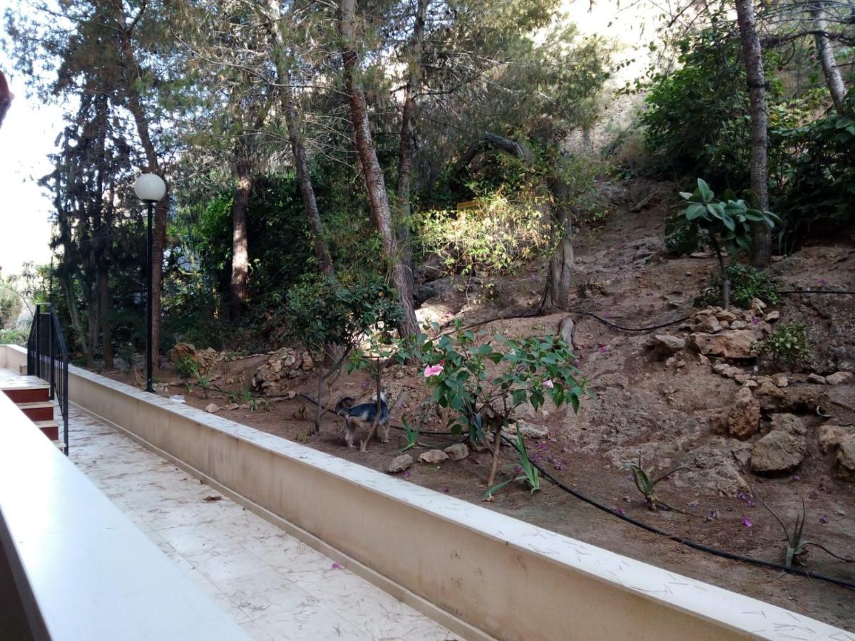 Mediterranean Beach Apartment 180º Sea & Island Views Santa Pola Εξωτερικό φωτογραφία